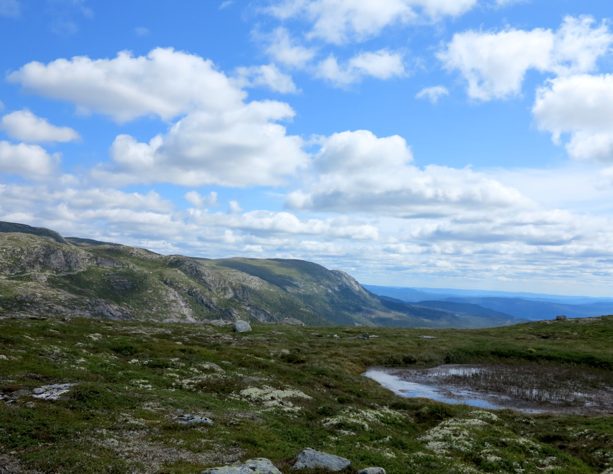 Sørbølnatten