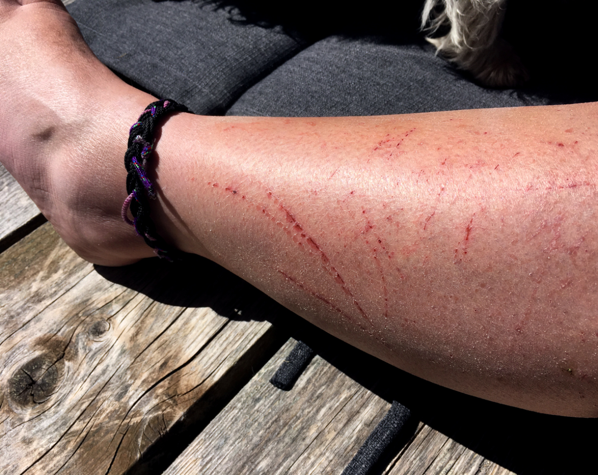 bit scratchy