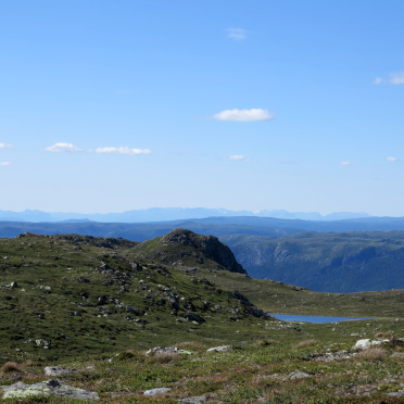 Pukla