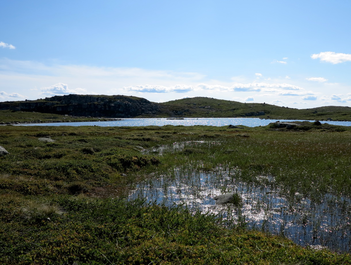 nameless lake…