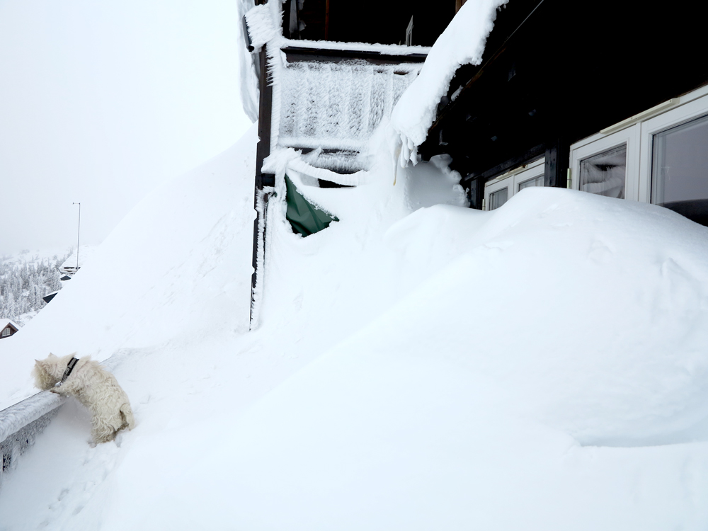 snow