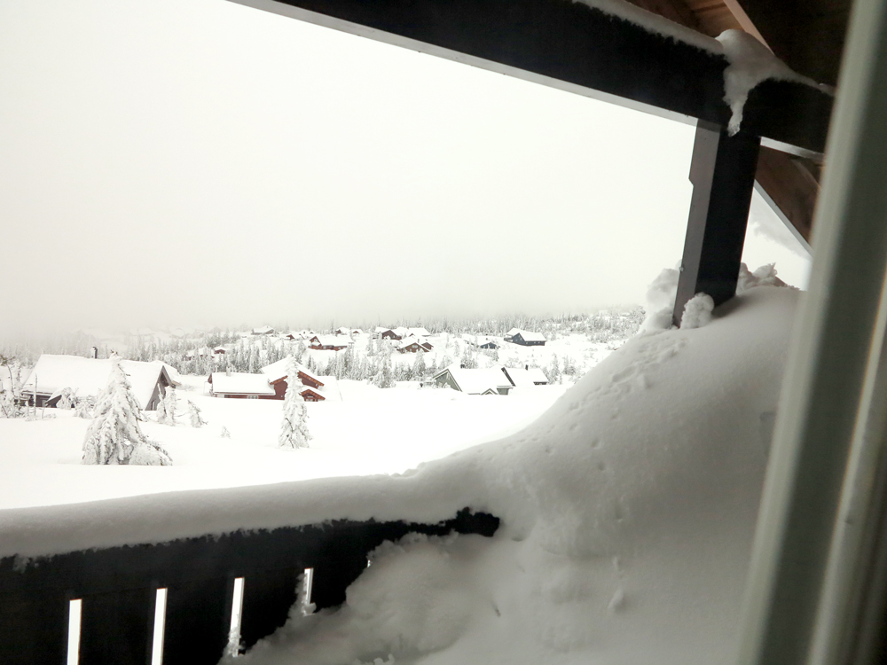 view from the upstairs