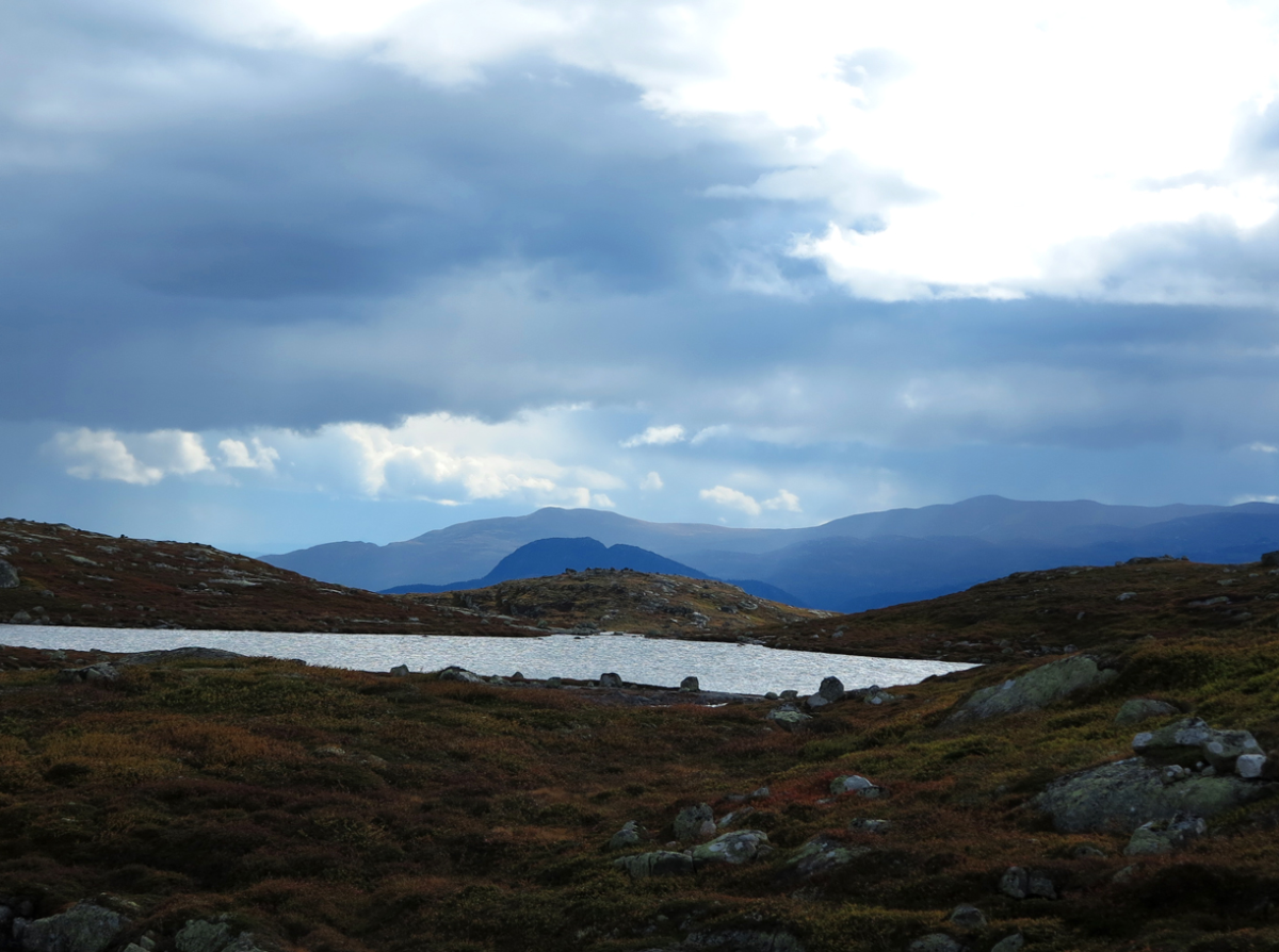 in the distance…