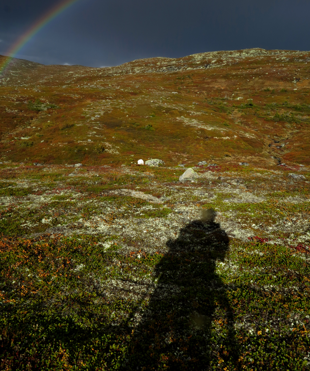 the rainbow, the dog, and the shadow