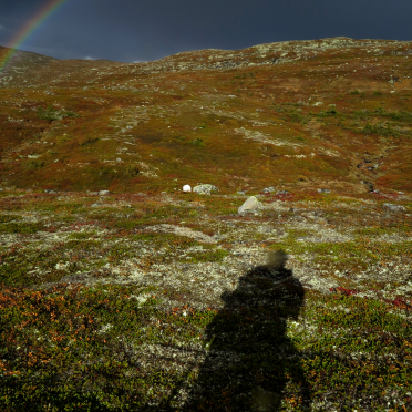 the rainbow, the dog, and the shadow