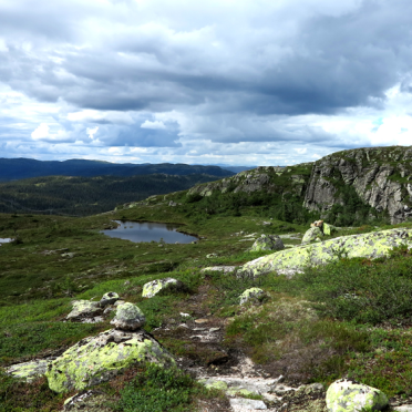 Vassfaret