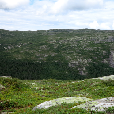 Vassfaret