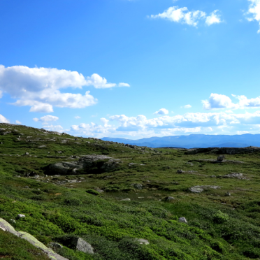 Vassfaret