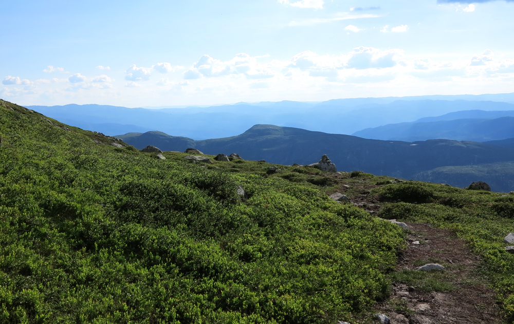 Vassfarfjellet