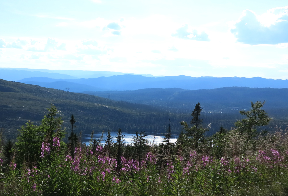 Vassfarfjellet