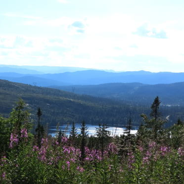 Vassfarfjellet