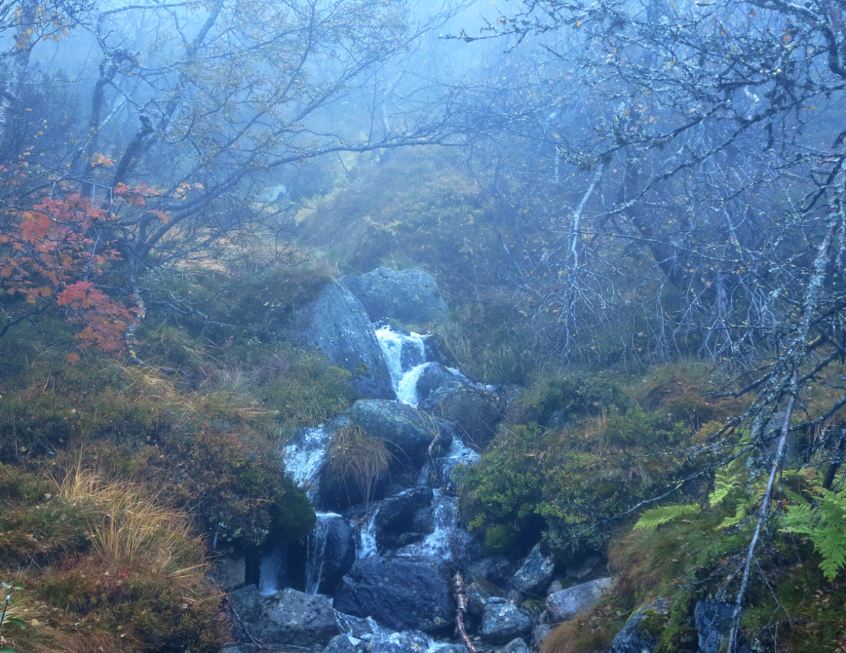 stream 1