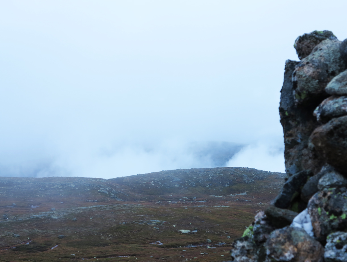 fog…