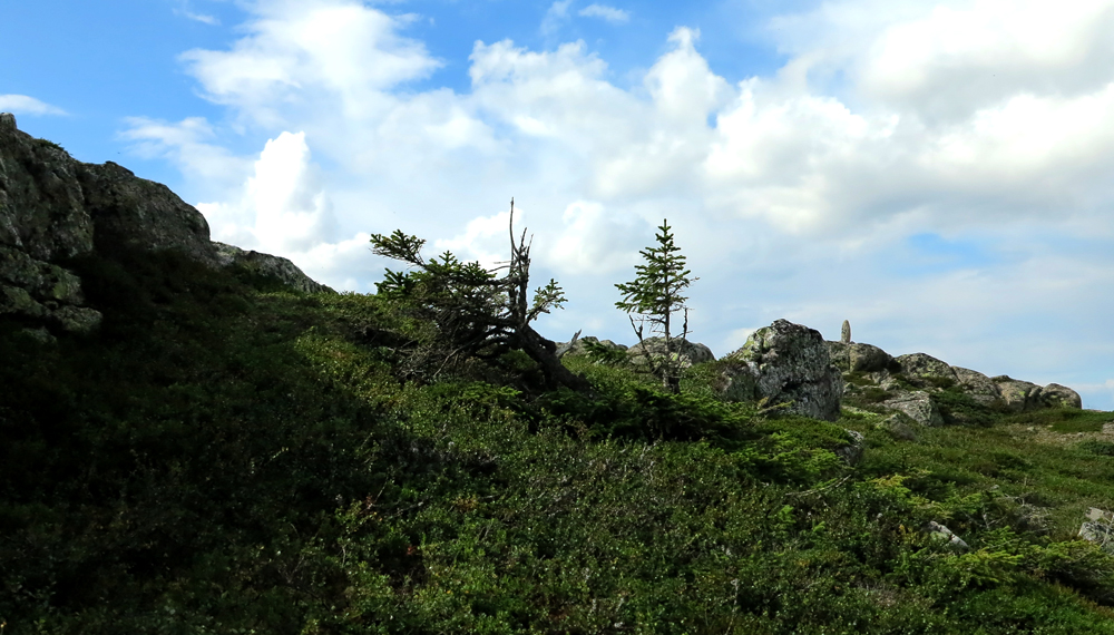 Vassfarfjellet