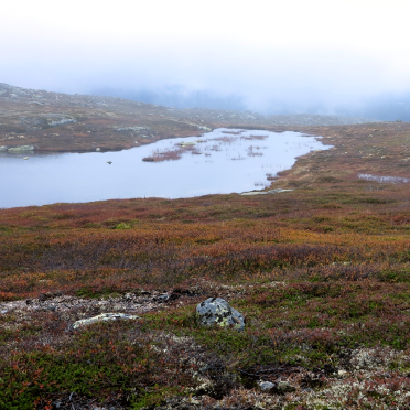 nameless lake