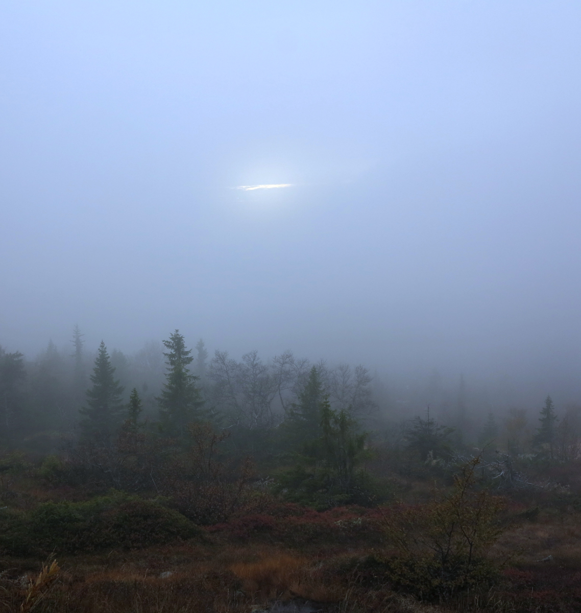 light