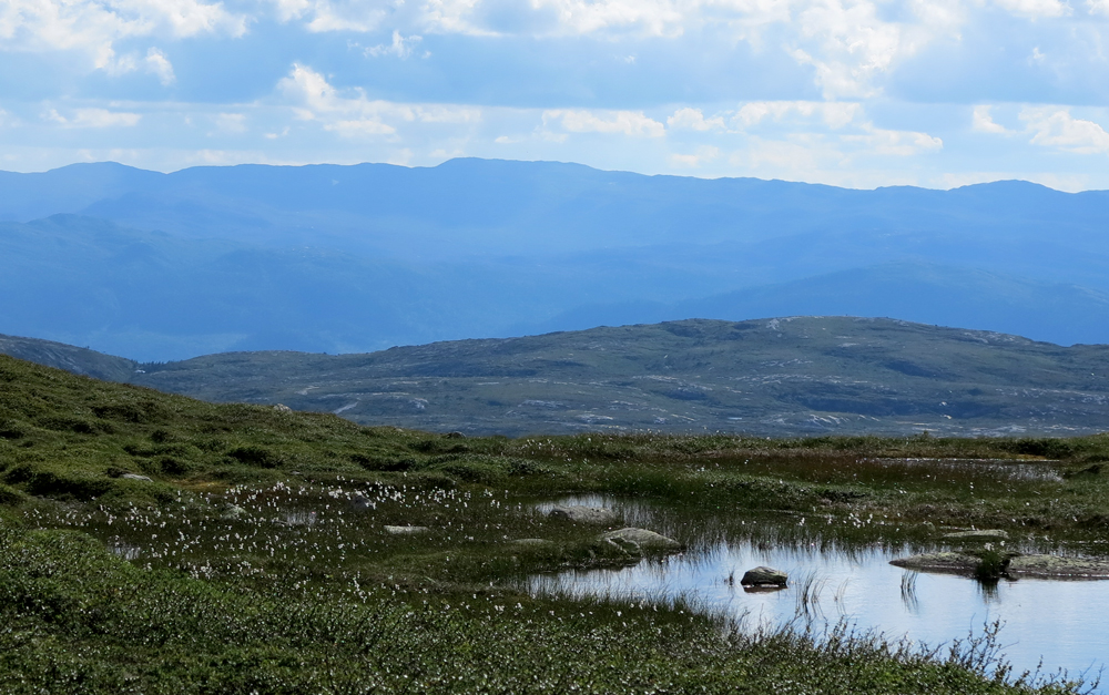 Vassfarfjellet, Flå