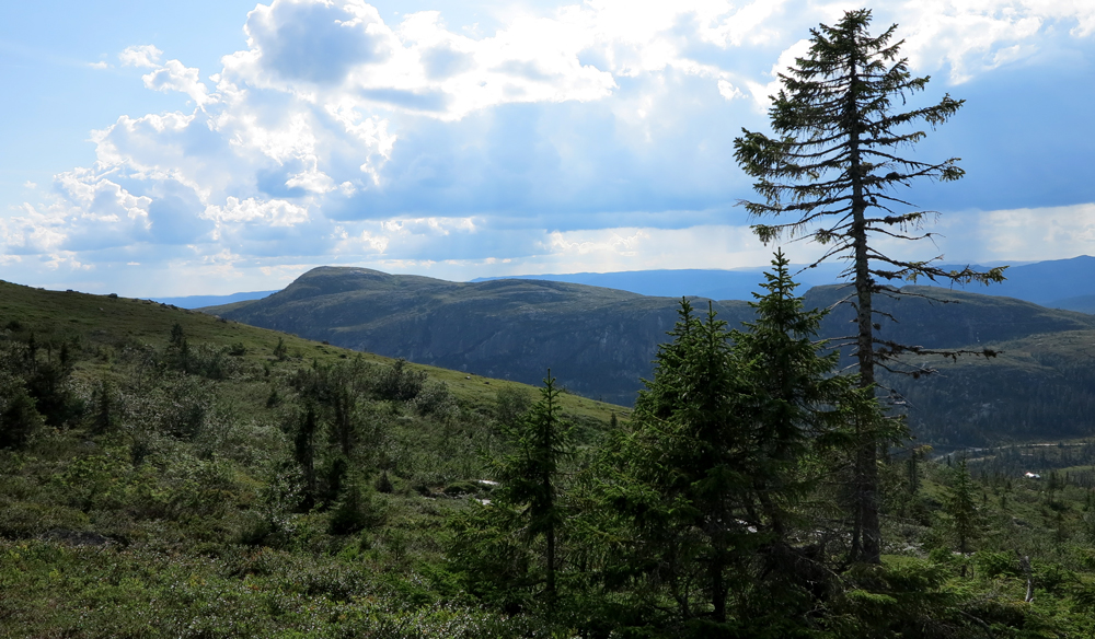Vassfarfjellet, Flå