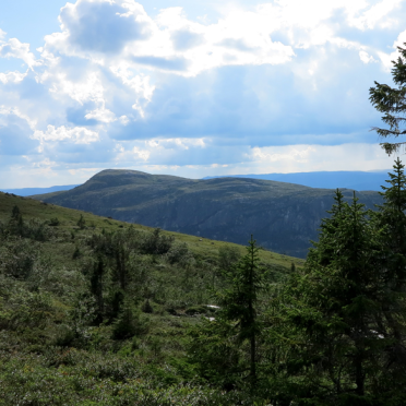 Vassfarfjellet, Flå