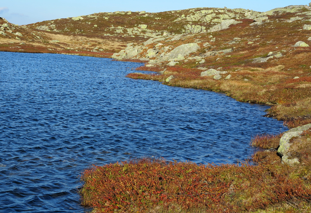 vassfarfjellet, autumn