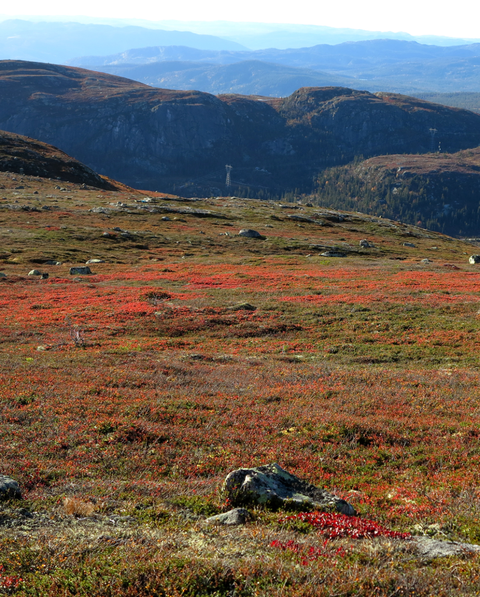 vassfarfjellet