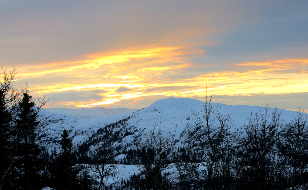 vassfarfjellet, flå