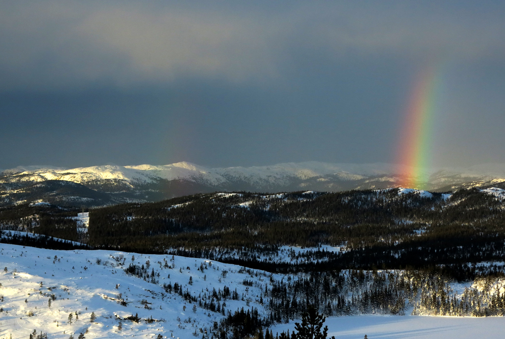 rainbow