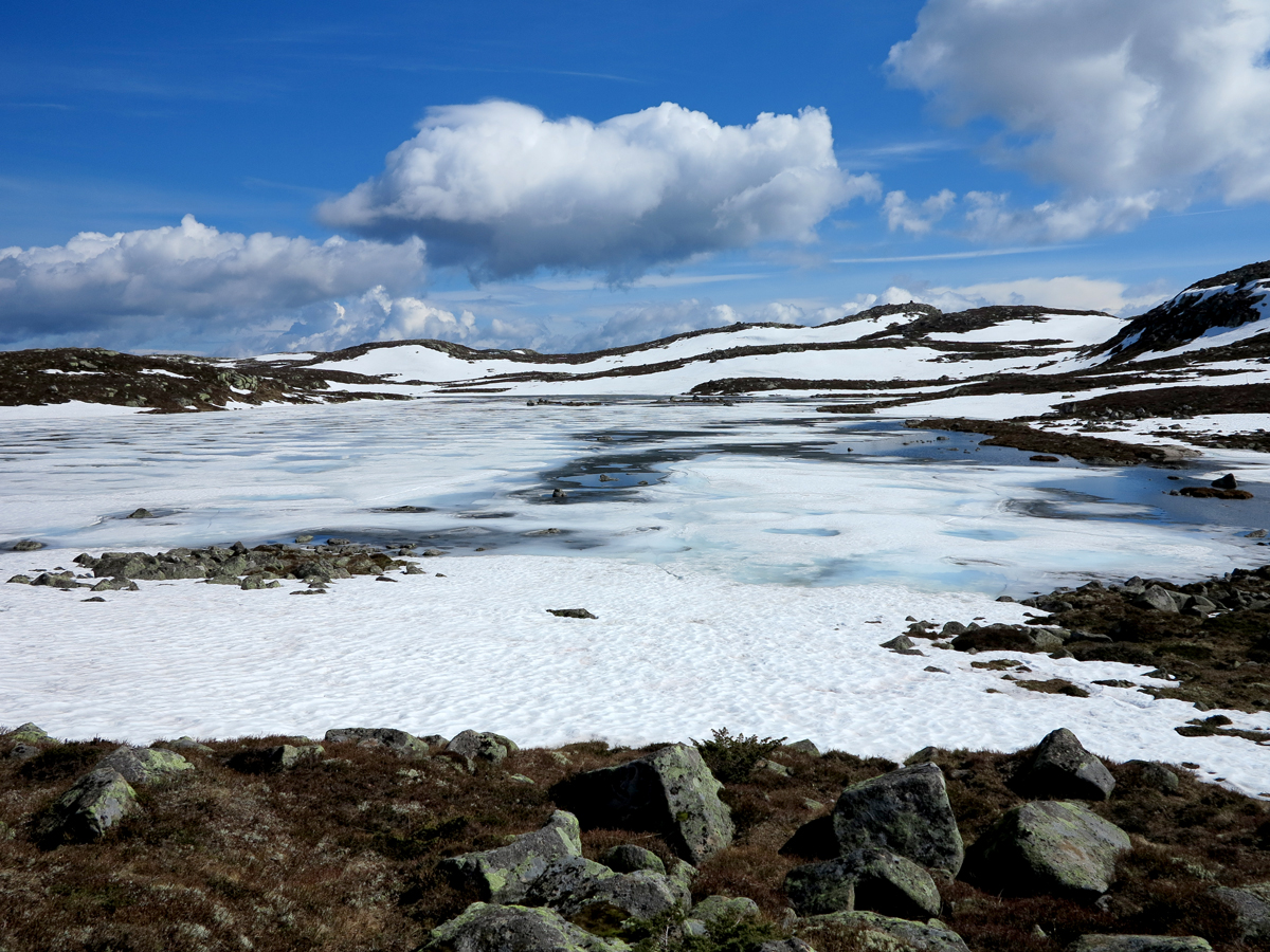 late june...