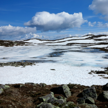 late june...