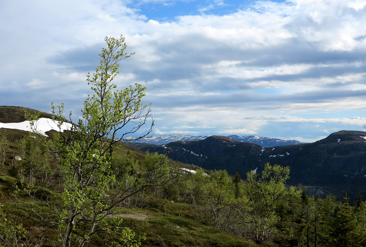view
