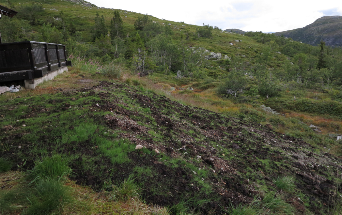 vassfarfjellet