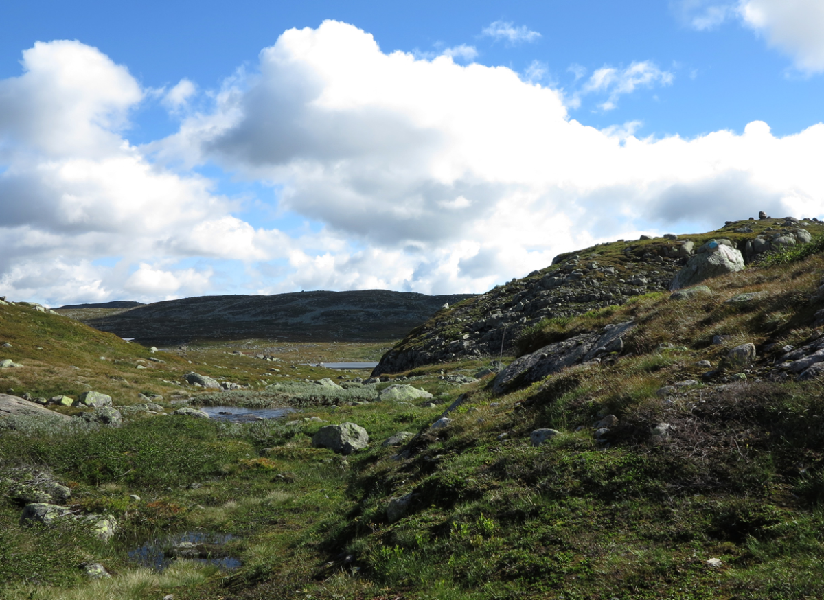vassfarfjellet