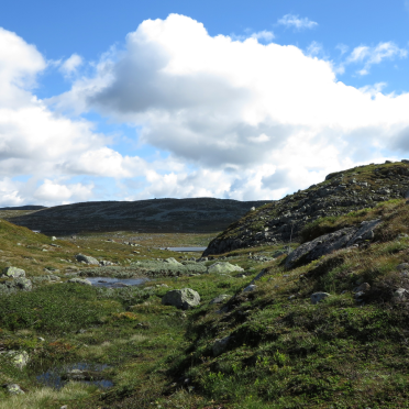 vassfarfjellet
