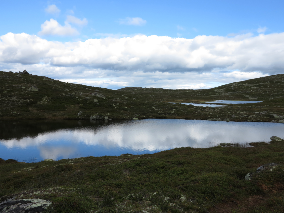 vassfarfjellet