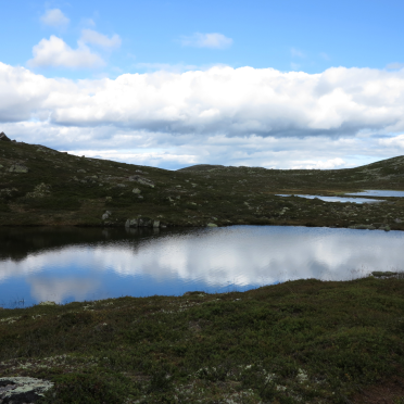 vassfarfjellet