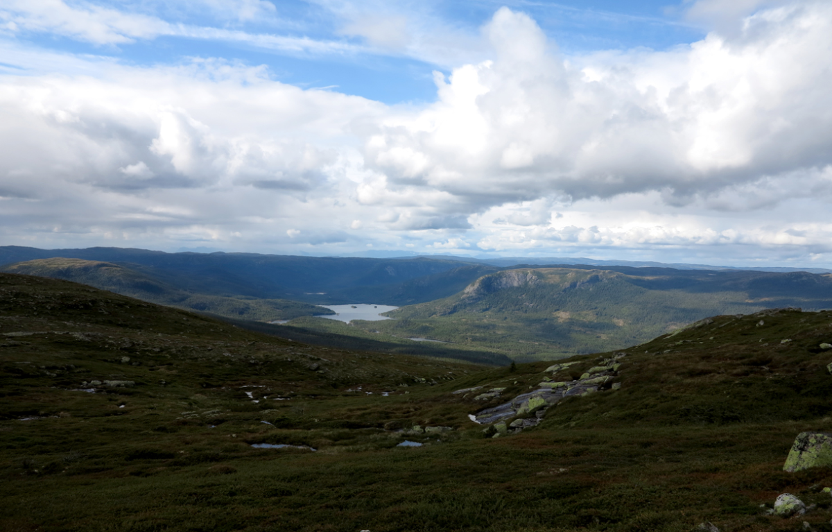 vassfarfjellet
