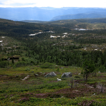 vassfarfjellet