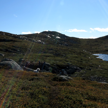 vassfarfjellet