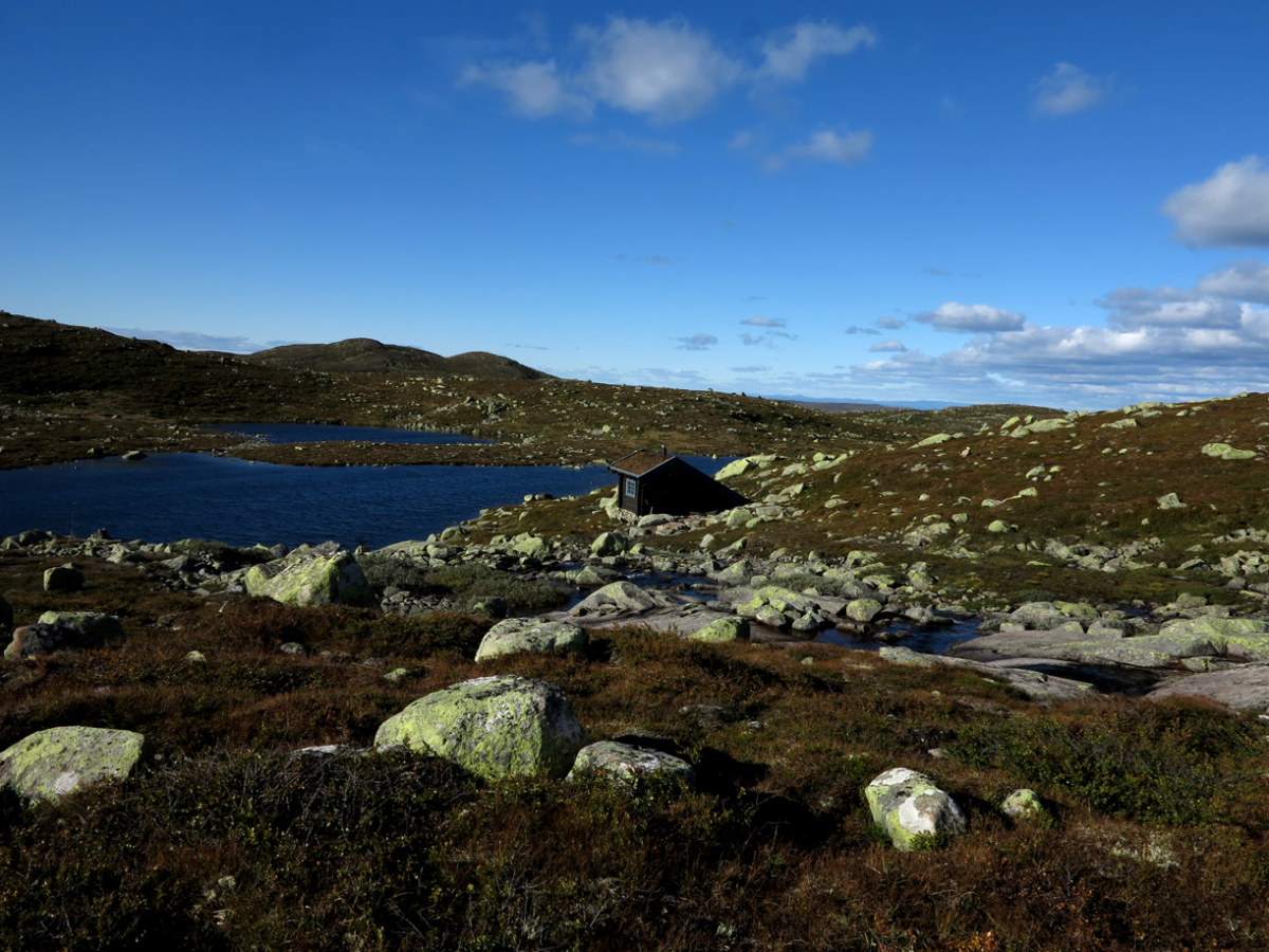 vassfarfjellet