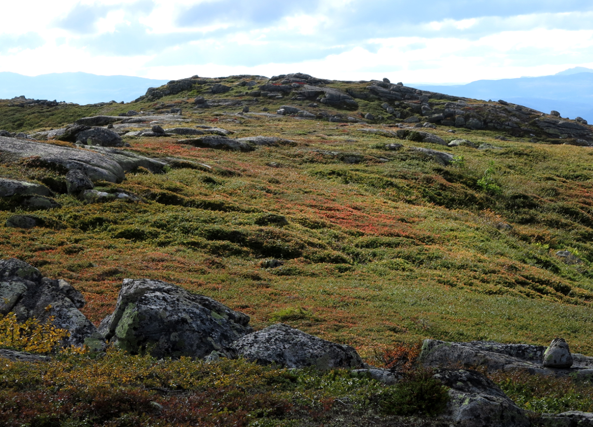 vassfarfjellet