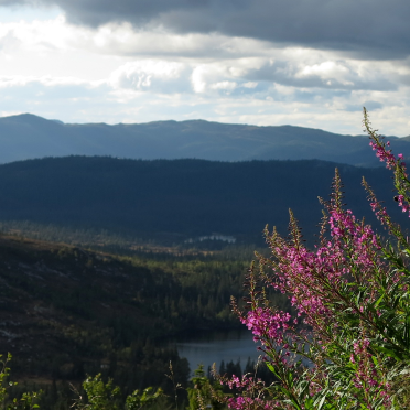 vassfarfjellet