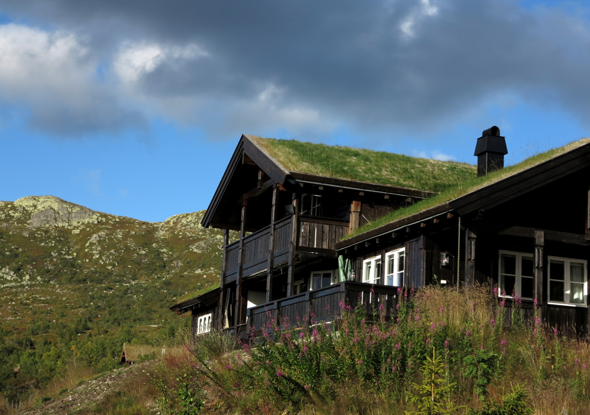 vassfarfjellet