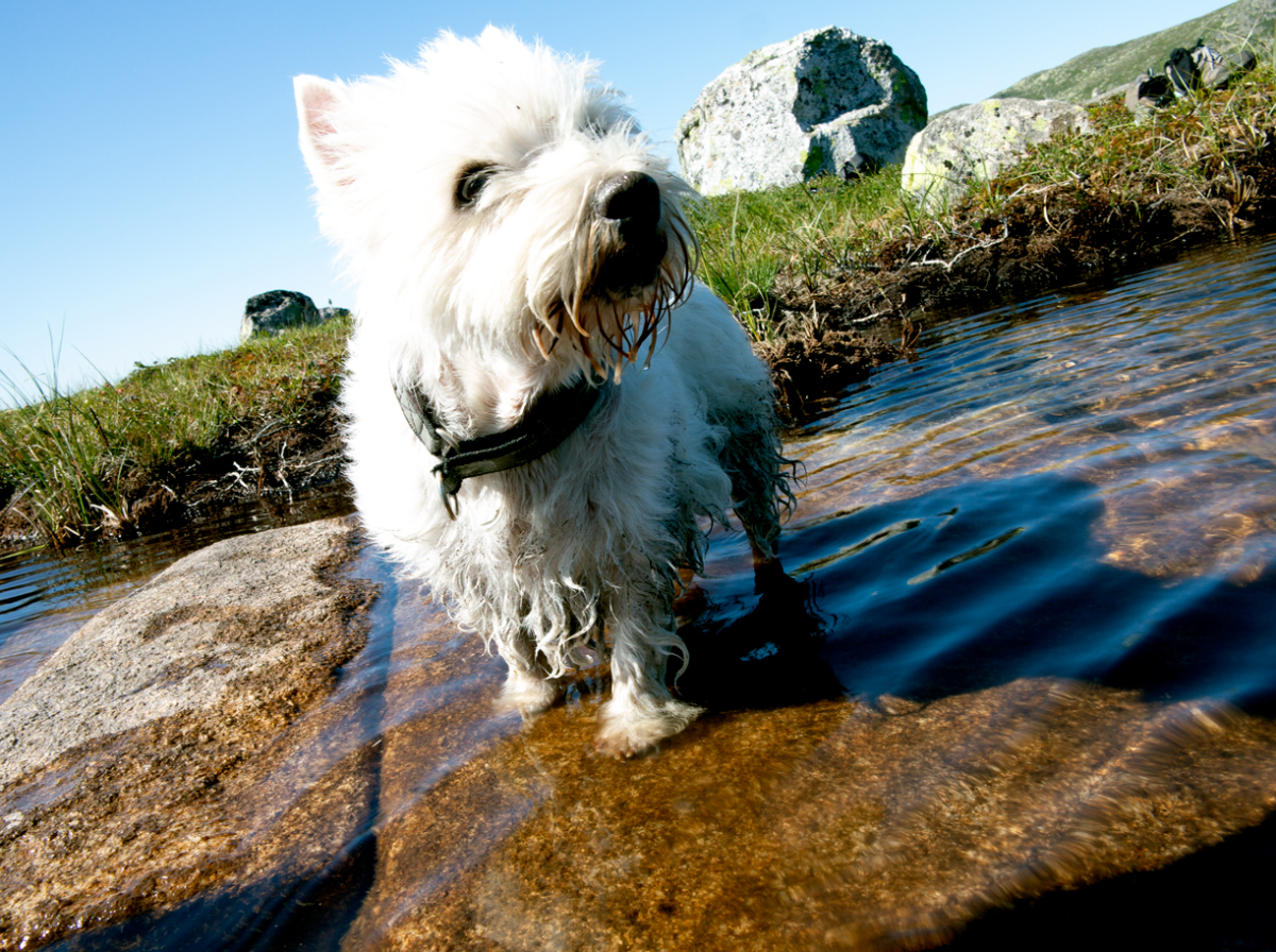 having a BATH!