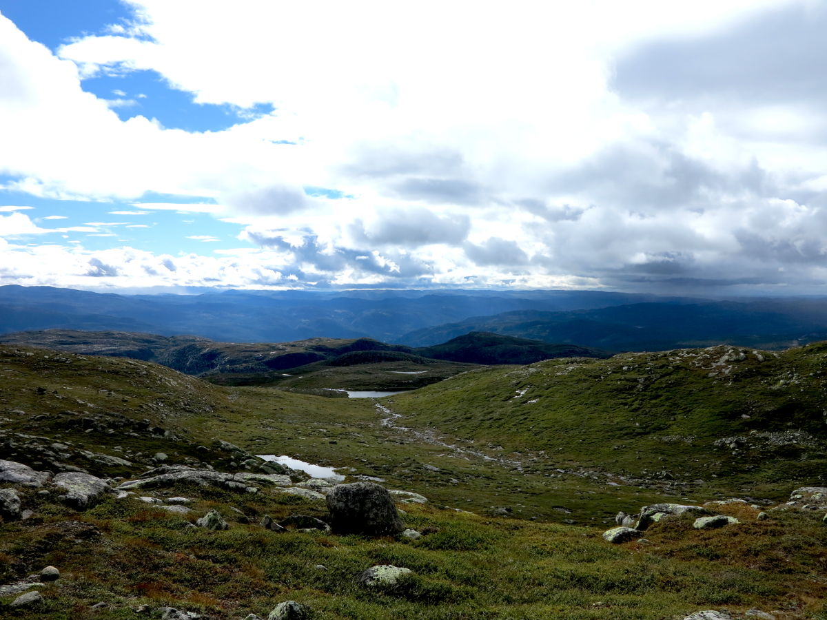 view