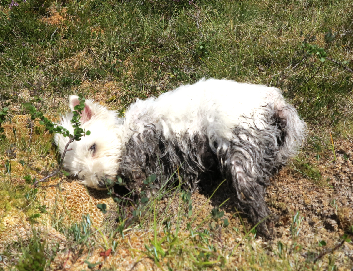 mud!!
