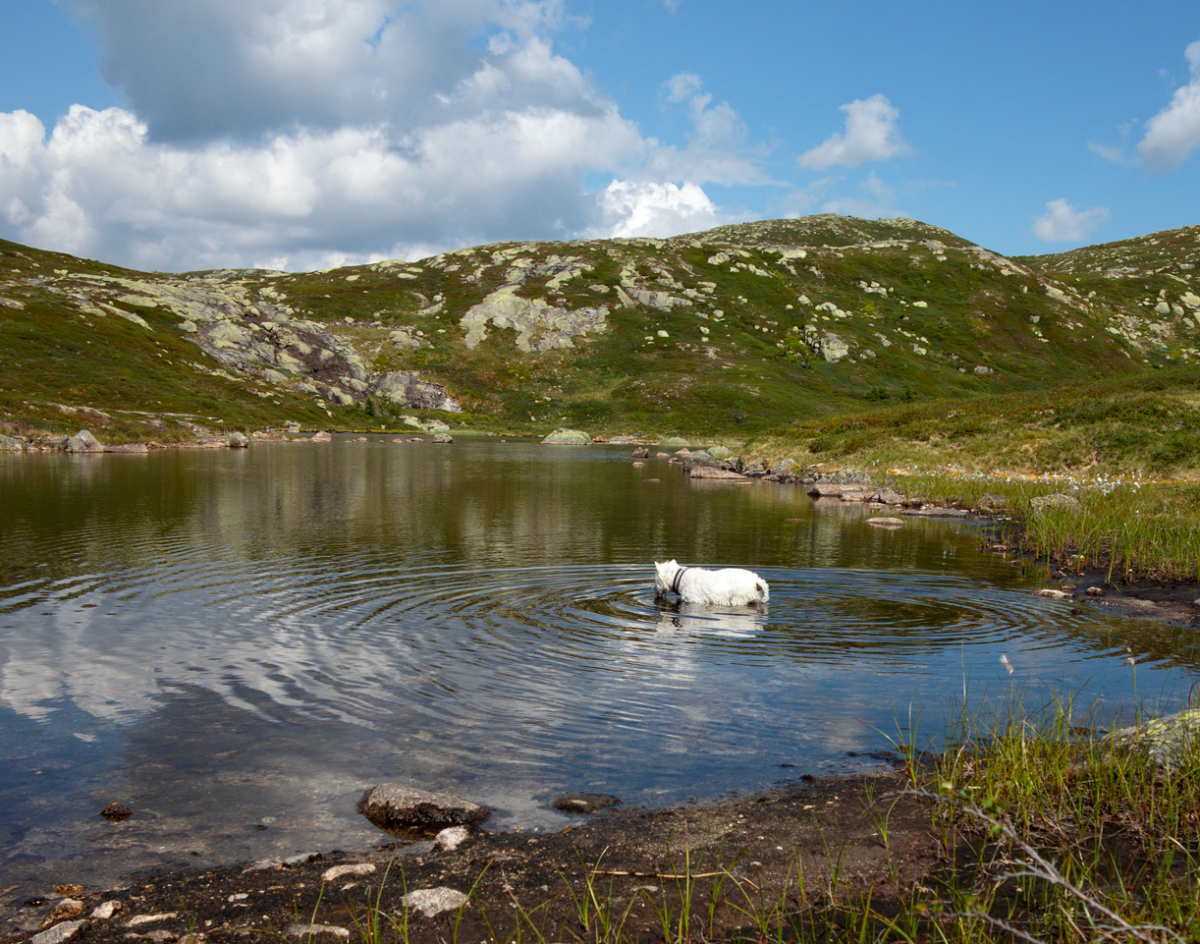 my lake