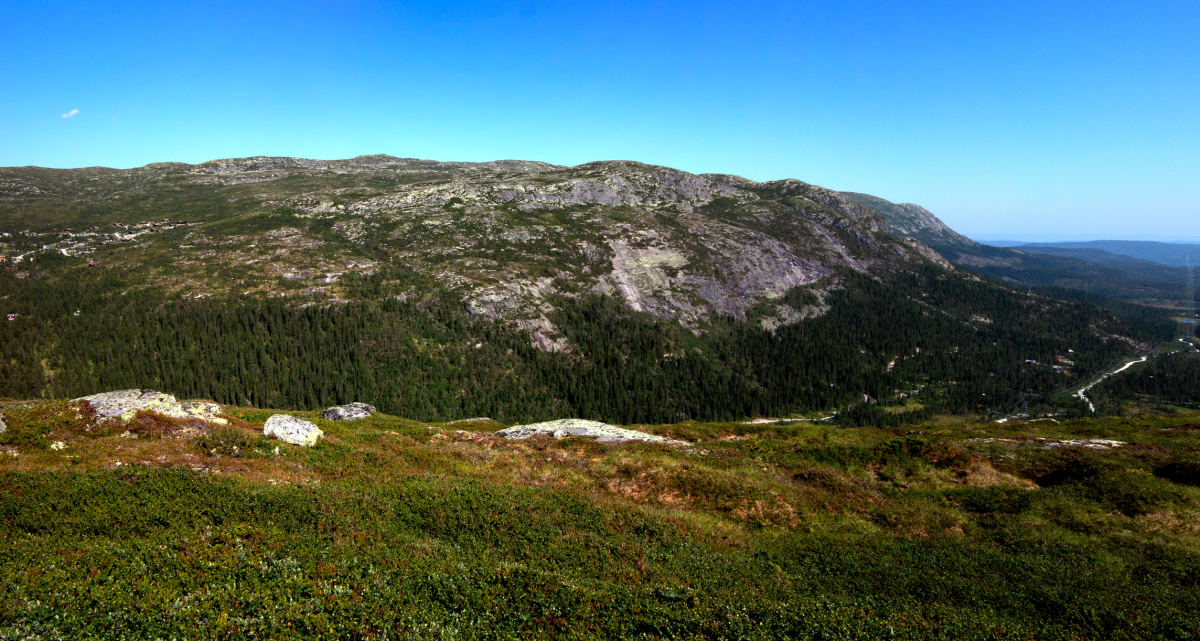 home – to – sørbølnatten