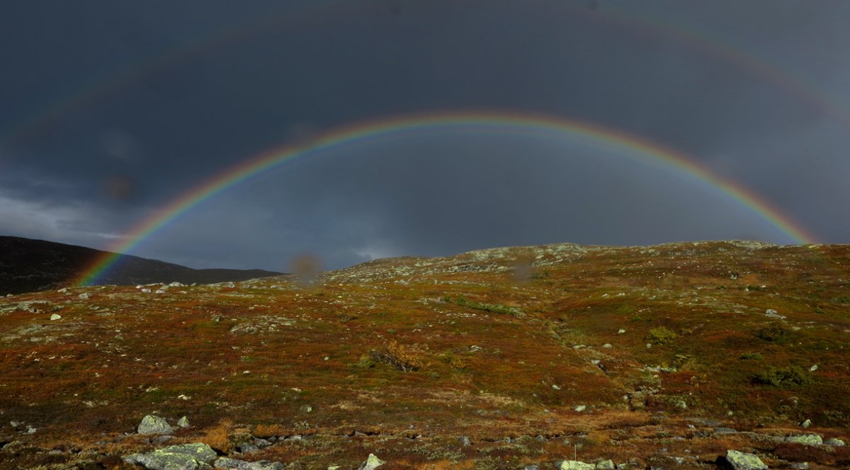 rainbow