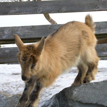 i can jump!