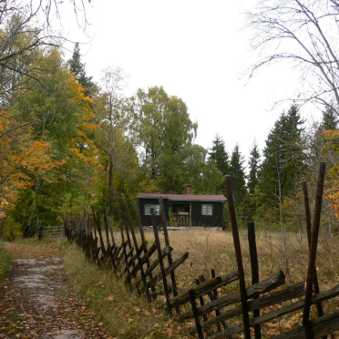 autumn at the cabin